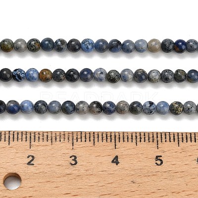 Natural Dumortierite Beads Strands G-Z116-A26-3mm-1