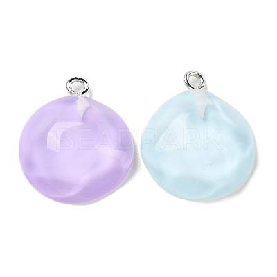 Translucent Resin Pendants RESI-A025-06E-1