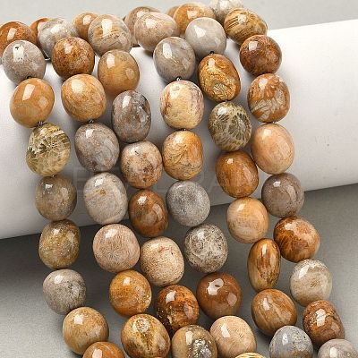 Natural Fossil Coral Beads Strands G-C038-02T-1