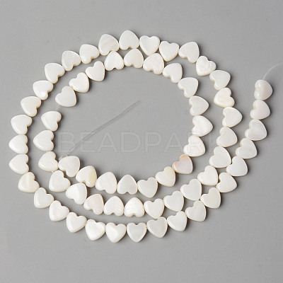 Natural Freshwater Shell Beads Strands X-SHEL-N026-71-1