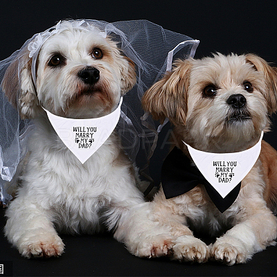2Pcs 2 Style Cloth Pet Handkerchi AJEW-GF0003-42-1