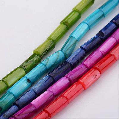 Natural Shell Bead Strands BSHE-P016-M-1