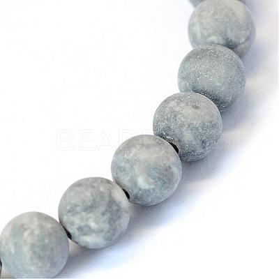 Frosted Natural Polychrome Jasper/Picasso Stone/Picasso Jasper Beads Strands G-E334-6mm-24-1