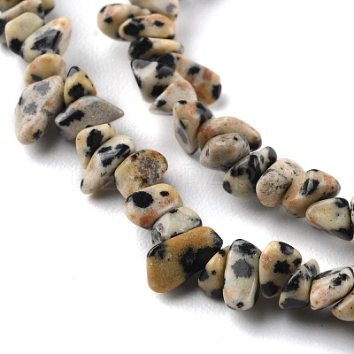 Natural Dalmatian Jasper Beads Strands G-G0003-B29-1