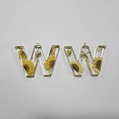 Transparent Epoxy Resin Pendants CRES-YW0002-12W-1
