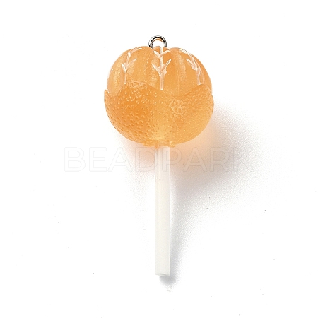 Translucent Resin Imitation Food Pendants RESI-R435-02A-1