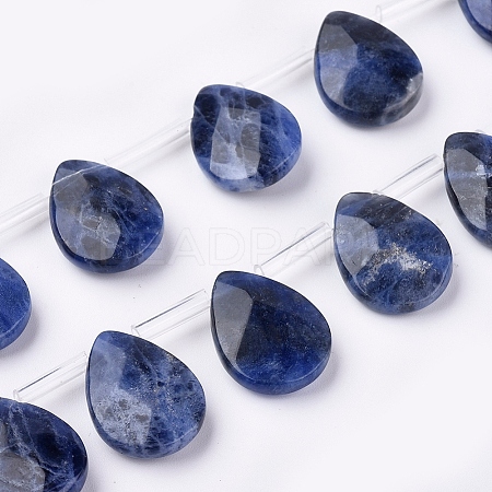 Natural Sodalite Beads Strands G-G822-08A-1