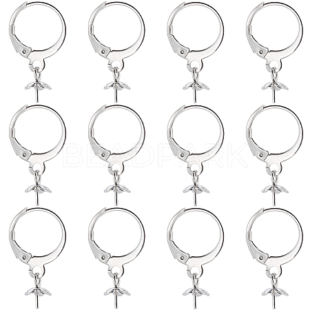 SUNNYCLUE 40Pcs 304 Stainless Steel Leverback Earring Findings STAS-SC0006-49-1