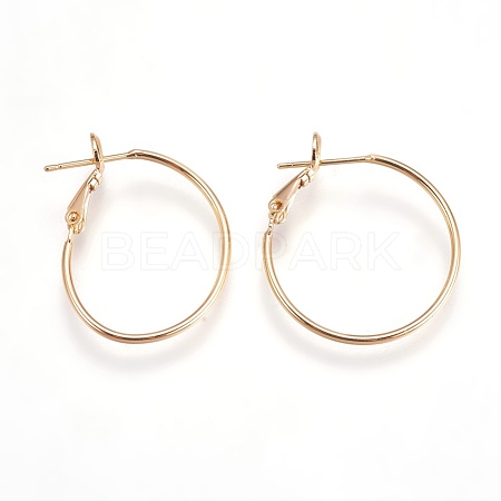 Brass Hoop Earrings EJEW-P160-03G-NF-1