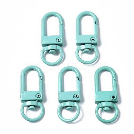 Spray Painted Eco-Friendly Alloy Swivel Snap Hooks Clasps LS-PALLOY-T080-02D-NR-1