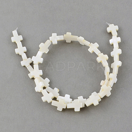 Natural Sea Shell Beads Strands X-SSHEL-Q296-34-1
