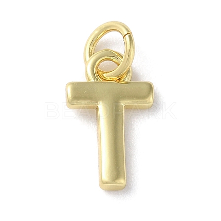 Rack Plating Brass Charms KK-P245-06G-T-1