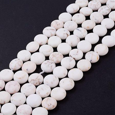 Natural Magnesite Beads Strands G-P278-30-1