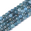 Natural Apatite Beads Strands G-S362-011-1