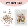 Picasso Glass Seed Beads SEED-TADJ0001-05K-3