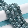 Dyed Natural Malaysia Jade Beads Strands G-G021-01B-01-1
