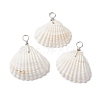 Natural Ark Shell Pendants PALLOY-JF02679-02-1