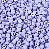 FGB Baking Paint Glass Seed Beads SEED-Q040-09A-15-3