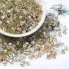 Glass Seed Beads SEED-H002-F-1138-1