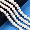 Natural Cultured Freshwater Pearl Beads Strands PEAR-N013-06F-5