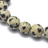 Natural Dalmatian Jasper Bead Stretch Bracelets BJEW-K212-A-014-3