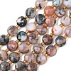 Natural Red Tree Agate Beads Strands G-K389-B89-01-2