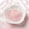 8/0 Glass Seed Beads SEED-Z001-C-E04-2