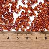 Spray Painted Glass Seed Beads SEED-F005-05A-04-4