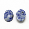 Natural Blue Spot Jasper Cabochons G-R415-14x10-45-2