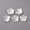 Natural White Shell Mother of Pearl Shell Beads SSHEL-R144-10-1
