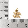 304 Stainless Steel Charms STAS-R001-04G-11-3