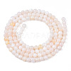 Natural Freshwater Shell Beads Strands BSHE-T009A-01B-2