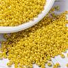 MIYUKI Round Rocailles Beads X-SEED-G008-RR0422D-1