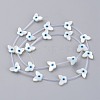 Natural White Shell Mother of Pearl Shell Beads SSHEL-L018-011-3