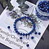 Natural Lapis Lazuli Beads G-NB0001-03-2
