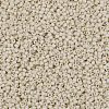 TOHO 11/0 Round Beads X-SEED-TR11-0409F-2