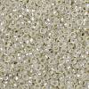 MIYUKI Round Rocailles Beads SEED-X0056-RR1901-3