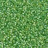 MIYUKI Delica Beads X-SEED-J020-DB2376-3