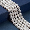 Natural Cultured Freshwater Pearl Beads Strands PEAR-T001-06C-5
