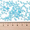 MIYUKI Round Rocailles Beads SEED-X0055-RR0148-4