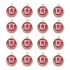 Golden Plated Alloy Enamel Charms X-ENAM-S118-08U-2