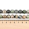 Natural K2 Stone Beads Strands G-K405-B03-10mm-6