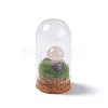 Natural Rose Quartz Mushroom Display Decoration with Glass Dome Cloche Cover G-E588-03J-2