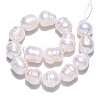 Natural Cultured Freshwater Pearl Beads Strands PEAR-N012-10D-2