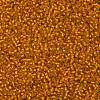 TOHO Round Seed Beads X-SEED-TR11-0030F-2