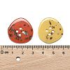 4-Hole Cellulose Acetate(Resin) Buttons BUTT-S023-12A-M-3