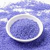 MIYUKI Round Rocailles Beads SEED-X0056-RR0417L-2