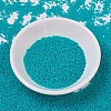 MIYUKI Delica Beads SEED-J020-DB0793-2