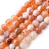 Faceted Natural Fire Crackle Agate Beads Strands G-F447-6mm-B03-2
