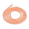Transparent Glass Beads Strands GLAA-H021-03-03-4